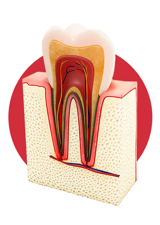 Happy patient with dentist in San Marino